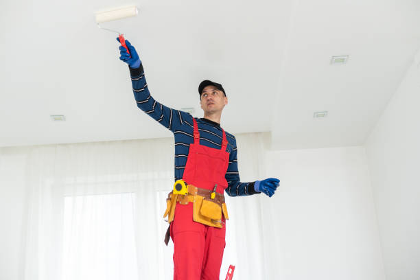  , USA Drywall and Painting Service Pros